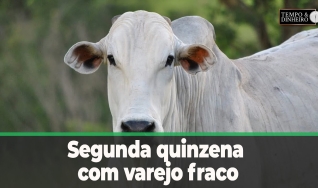Tempo & Dinheiro