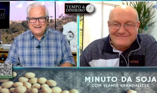 Lobinho voltou aos portos para Soja