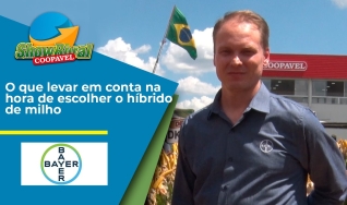 Rodrigo Nuernberg - Diretor de Negócios de Milho