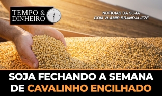Tempo e Dinheiro