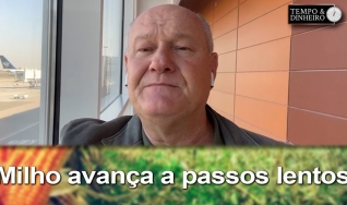 Tempo e Dinheiro, com João Batista Olivi