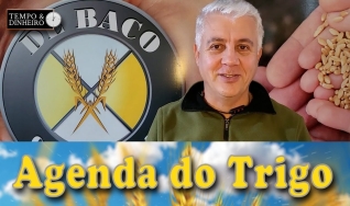 Tempo e Dinheiro, com João Batista Olivi