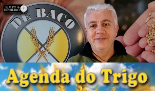 Tempo e Dinheiro, com João Batista Olivi