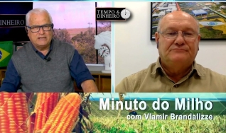 Tempo e Dinheiro