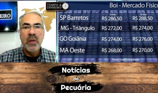 Tempo e Dinheiro