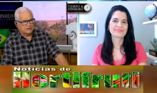 Tempo e Dinheiro