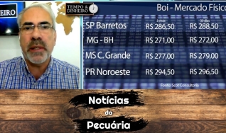Tempo e Dinheiro