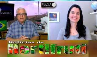 Tempo e Dinheiro
