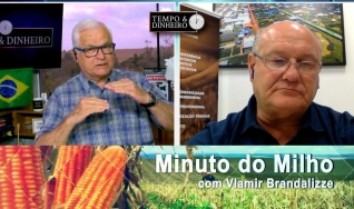 Tempo e Dinheiro