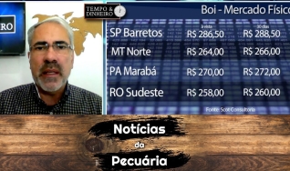 Tempo e Dinheiro
