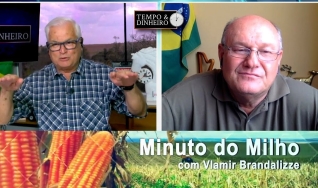 Tempo e Dinheiro