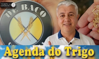 Tempo e Dinheiro