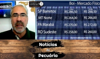 Tempo e Dinheiro