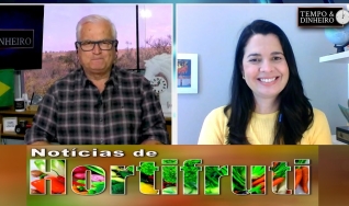 Tempo e Dinheiro