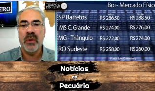 Tempo e Dinheiro