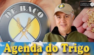 Tempo e Dinheiro