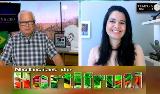 Tempo e DInheiro