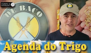 Tempo e Dinheiro