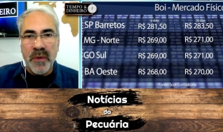 Tempo e Dinheiro