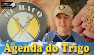 Tempo e Dinheiro