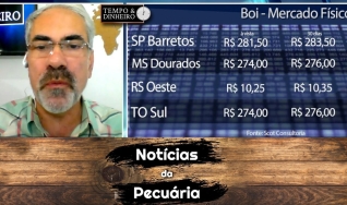 Tempo e Dinheiro