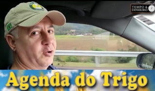 Tempo e Dinheiro