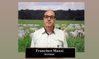 Tempo e Dinheiro