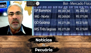 Tempo e Dinheiro