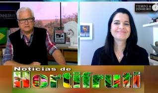 Tempo e Dinheiro