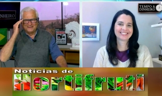 Tempo e Dinheiro