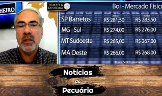 Tempo e Dinheiro
