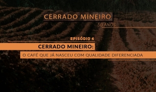 CERRADO MINEIRO 50 ANOS - EP 4: O café que já nasceu com qualidade diferenciada