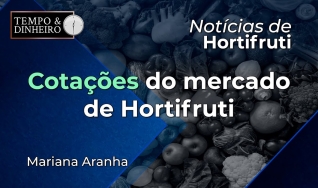 Tempo e Dinheiro