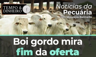 Tempo e Dinheiro