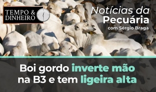 Tempo e Dinheiro