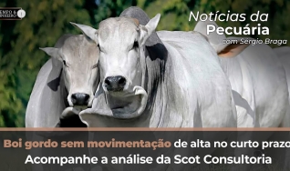 Tempo e Dinheiro