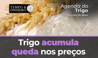 Tempo e Dinheiro
