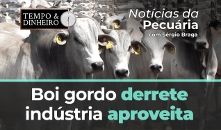 Tempo e Dinheiro