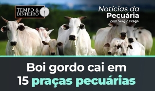 Tempo e Dinheiro