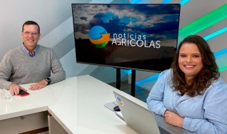 Haroldo Bonfá - Analista de Mercado e Diretor da Pharos Consultoria