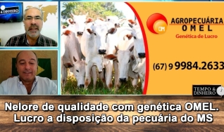 Tempo e Dinheiro, com João Batista Olivi