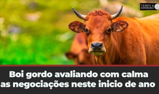 Tempo e Dinheiro
