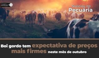 Tempo e Dinheiro