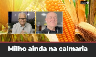 Tempo & Dinheiro