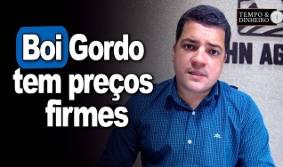 Hyberville Neto