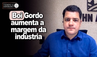 Hyberville Neto