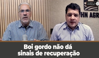Tempo & Dinheiro