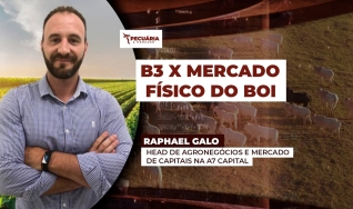 Raphael Galo - Head de Agronegócios e Mercado de Capitais na A7 Capital