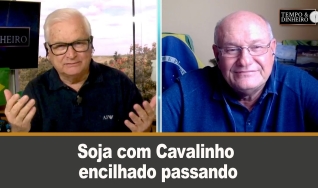 Tempo & Dinheiro - Com Vlamir Brandalizze