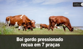 Tempo & Dinheiro
